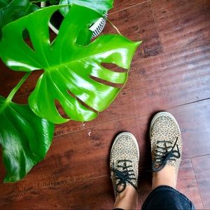 Leopard Print Vans